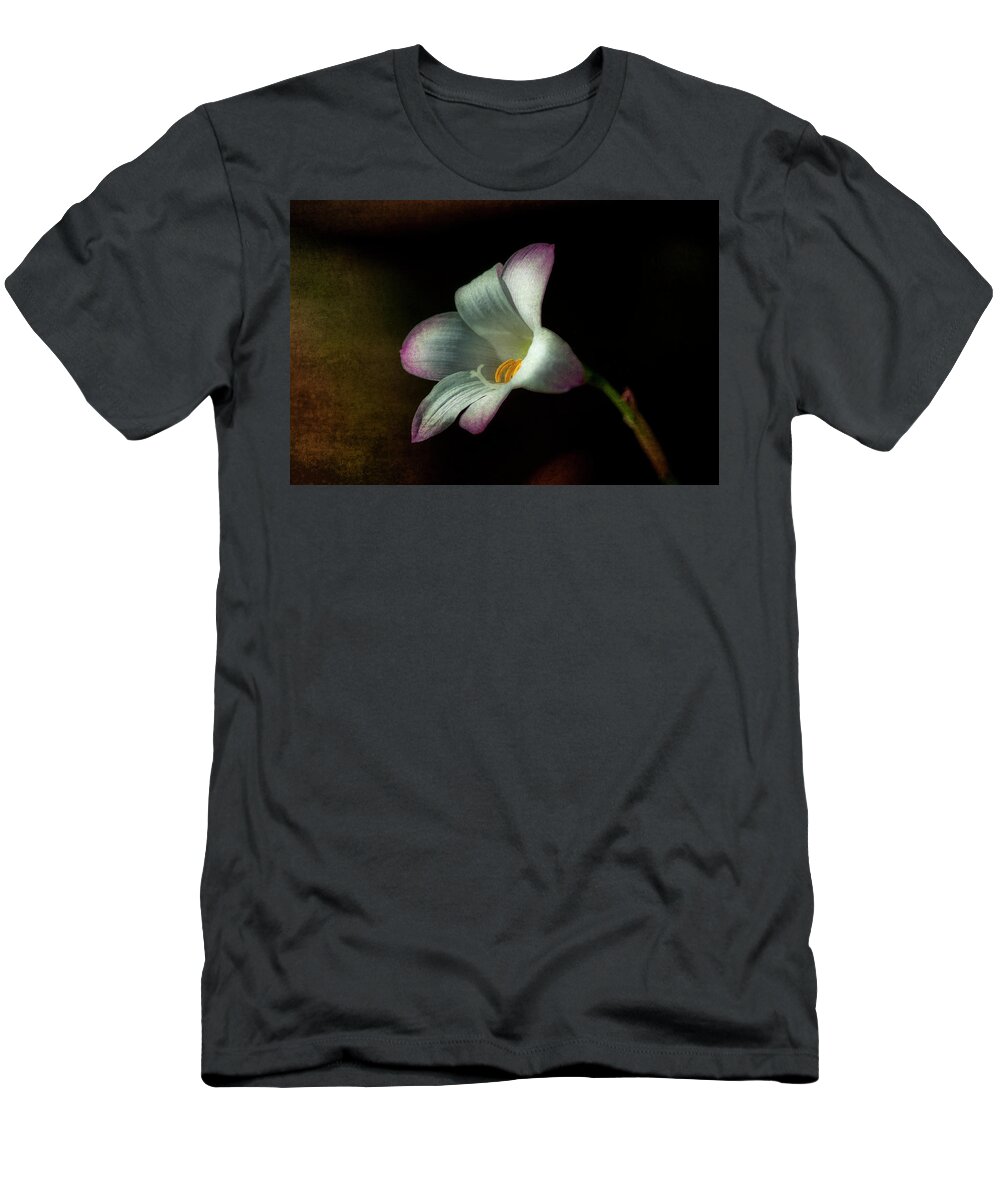  Architectural T-Shirt featuring the photograph Day Lilly #2 by Lou Novick