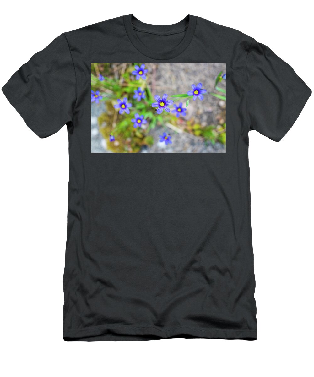 Flower T-Shirt featuring the photograph Delicate Blue And Yellow Of Blue Cap #1 by David Ridley