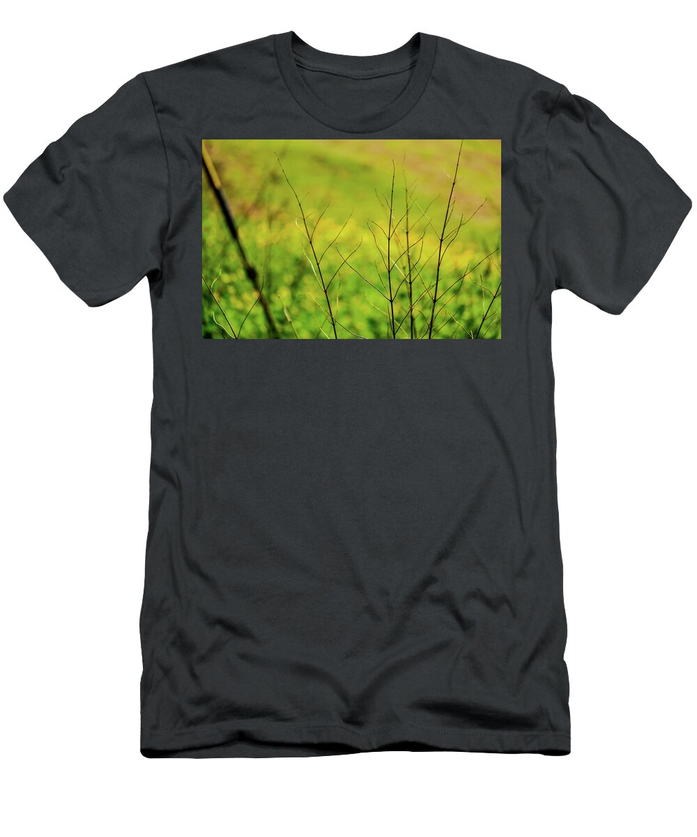 Flower T-Shirt featuring the photograph Dried Twigs From Plant In Front Of Field Of Buttercups #1 by David Ridley