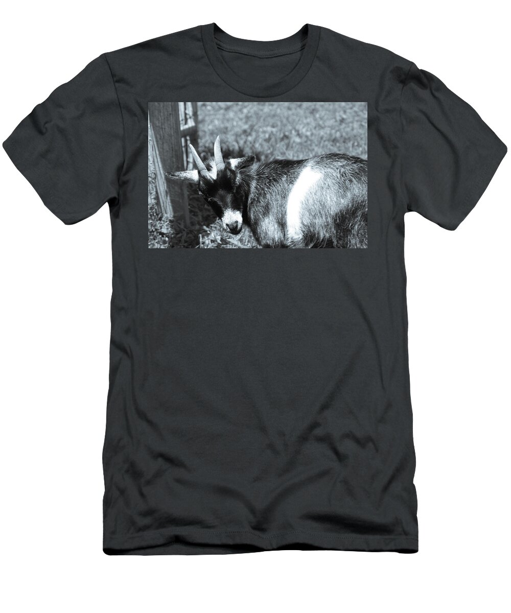Goat T-Shirt featuring the photograph Goat With An Attitude by Demetrai Johnson