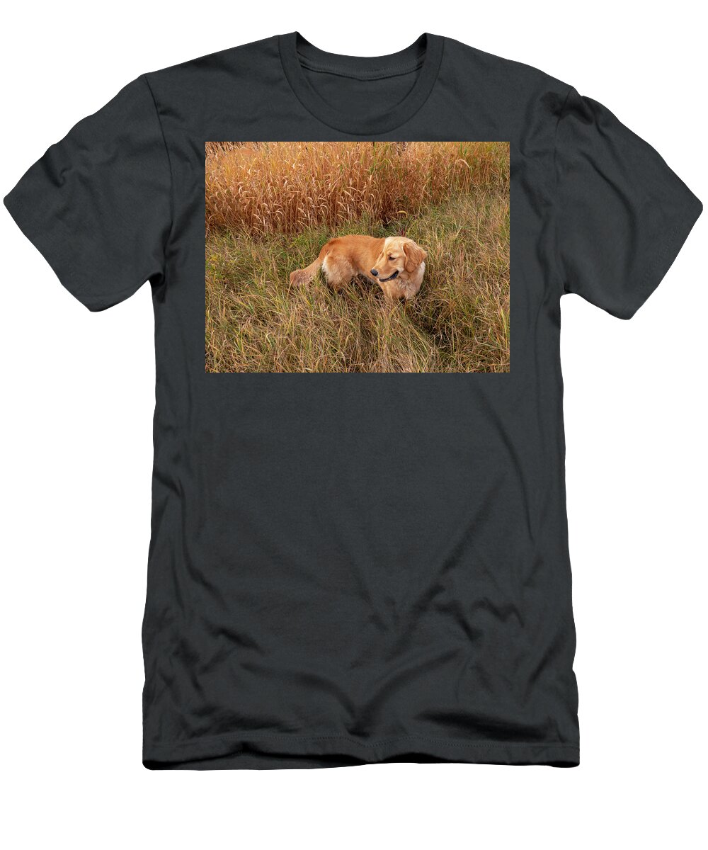 Golden T-Shirt featuring the photograph Golden Retriever In Tall Grass by Karen Rispin