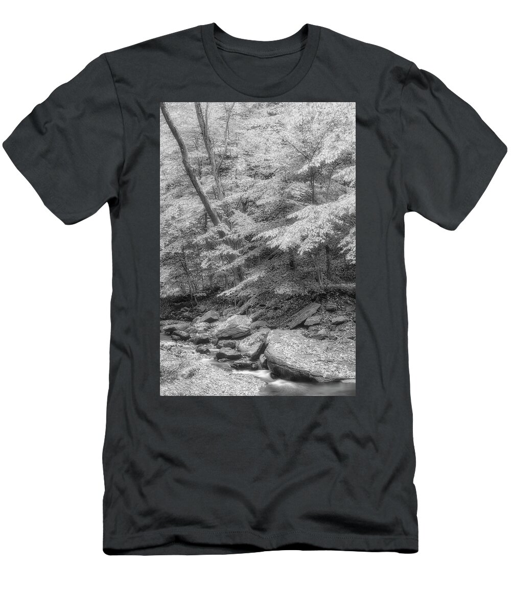 Water T-Shirt featuring the photograph Hedden County Park NJ BW #1 by Susan Candelario