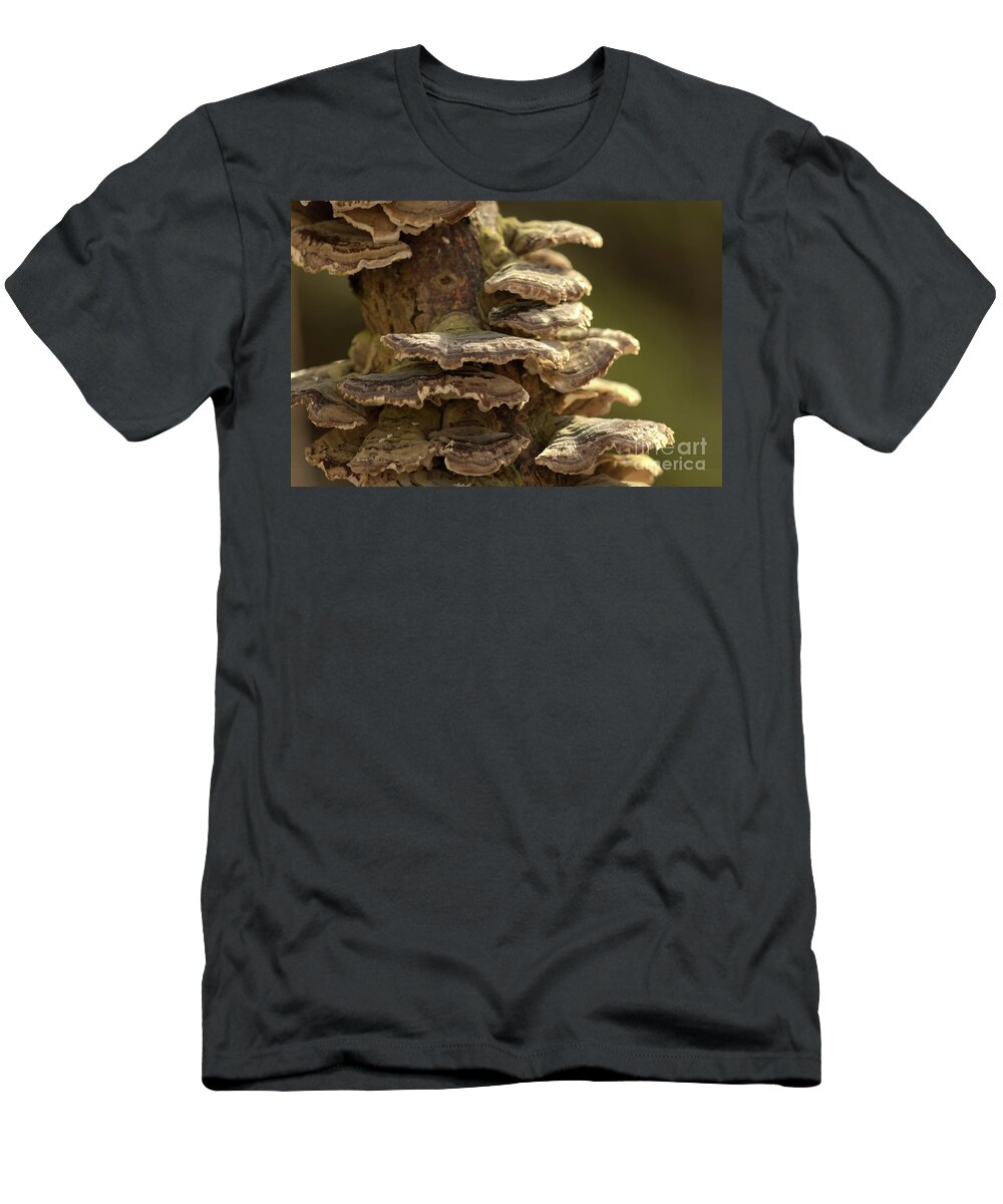 Affinity Photo T-Shirt featuring the photograph Hen-of-the-wood #1 by Pics By Tony