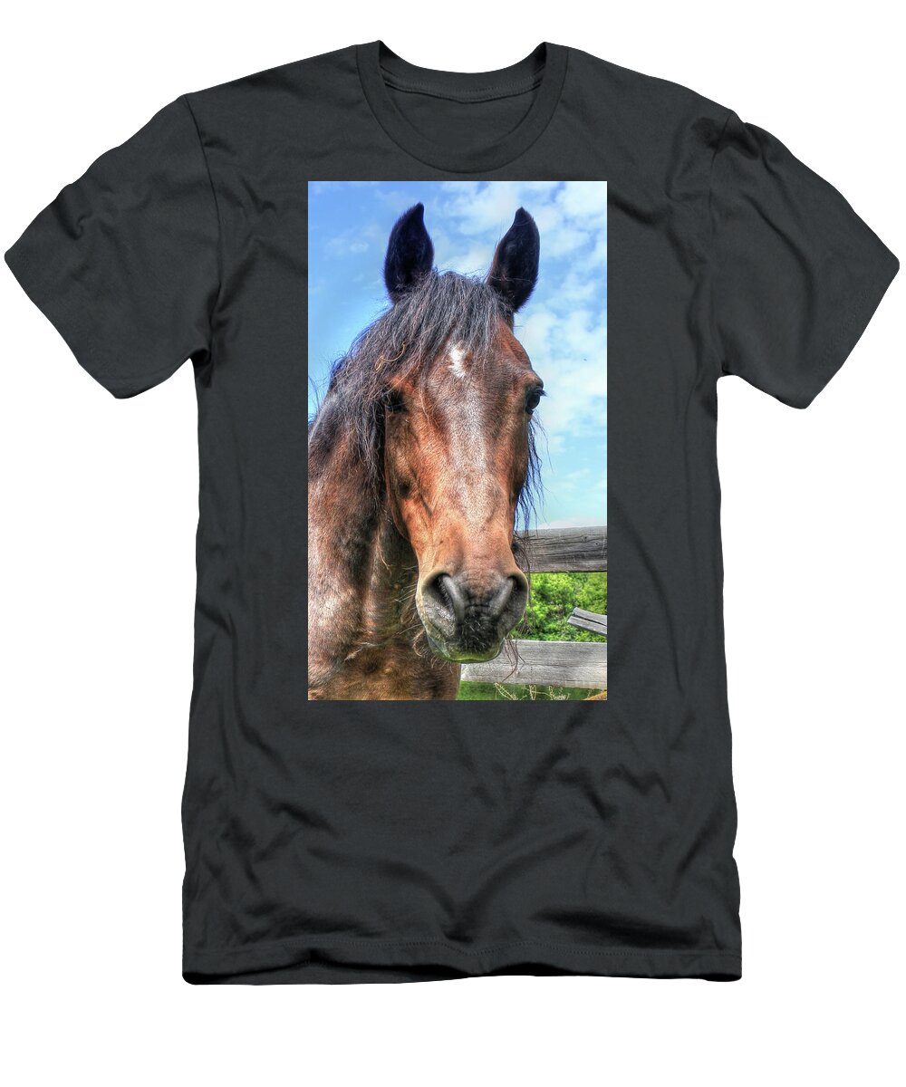 Horses T-Shirt featuring the photograph Horse Head #1 by Jim Sauchyn