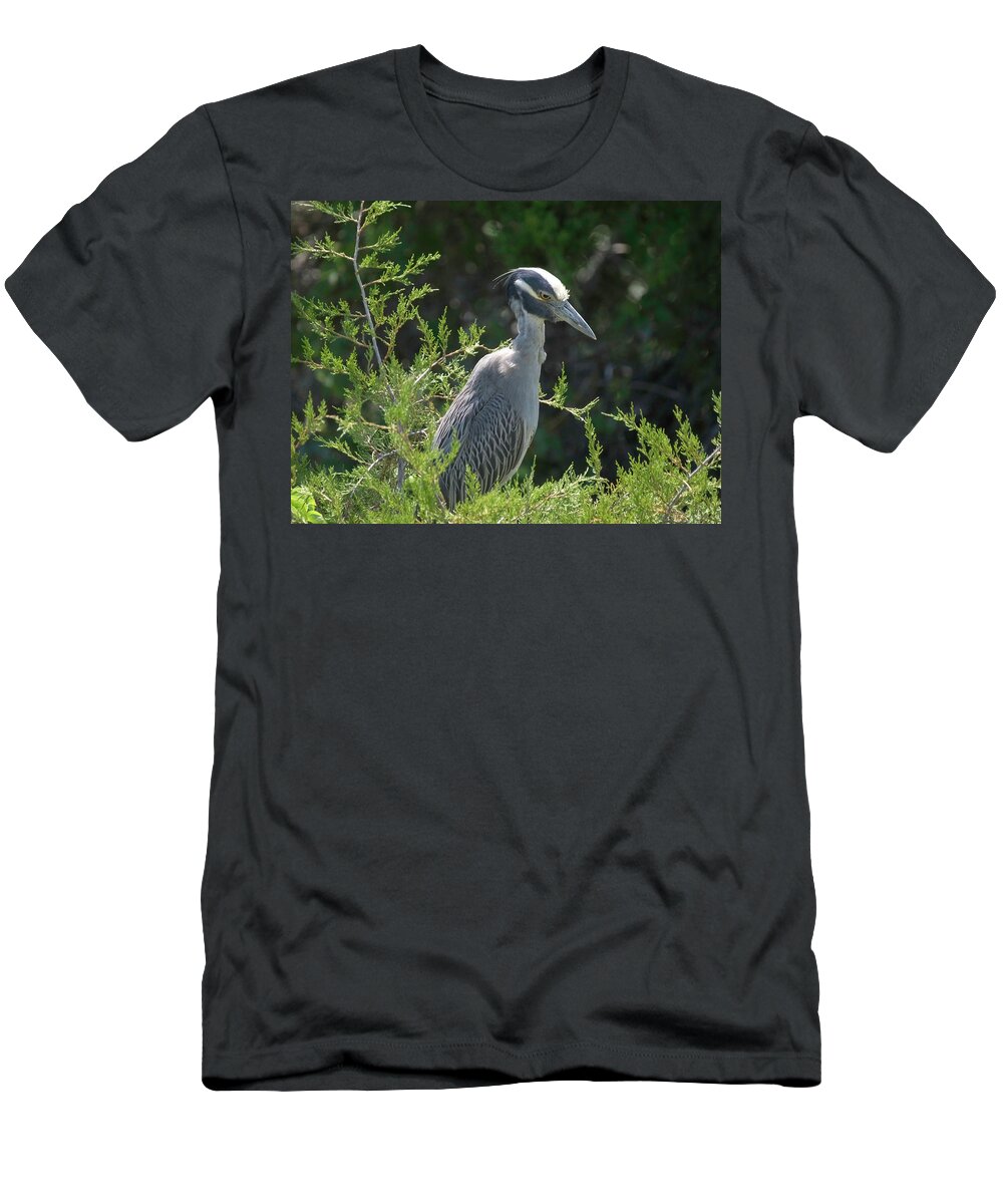 Birds T-Shirt featuring the photograph I am watching you #1 by Paul Ross