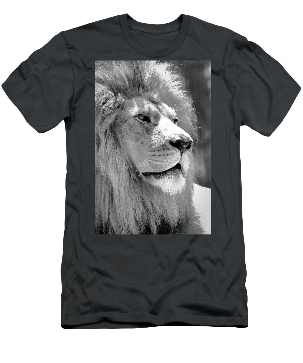 Lion T-Shirt featuring the photograph Is This My Good Side by Lens Art Photography By Larry Trager