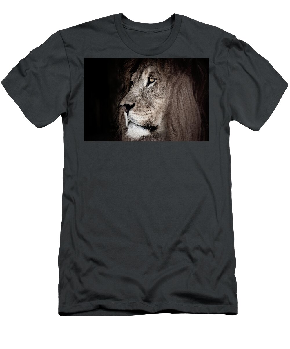 Lion T-Shirt featuring the photograph It's All in the Eyes #1 by Rose Guinther