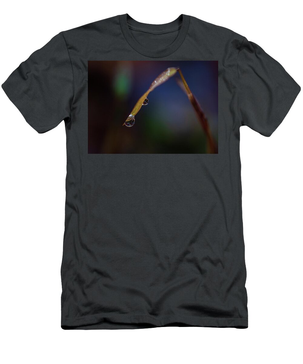 Fall T-Shirt featuring the photograph Macro Photography - Water Drops on Grass by Amelia Pearn