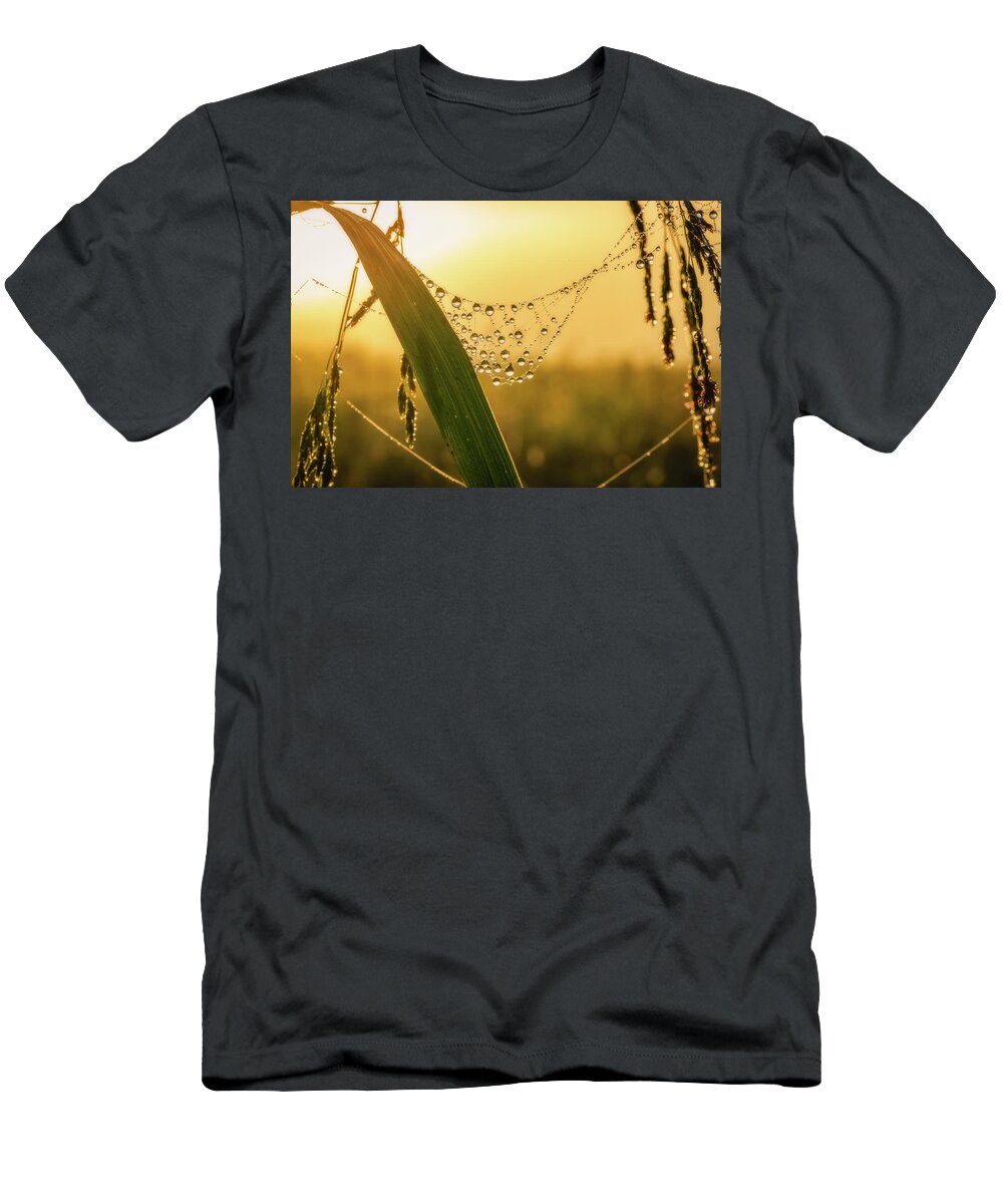 Great Smoky Mountains National Park T-Shirt featuring the photograph Morning in Cades Cove #2 by Robert J Wagner
