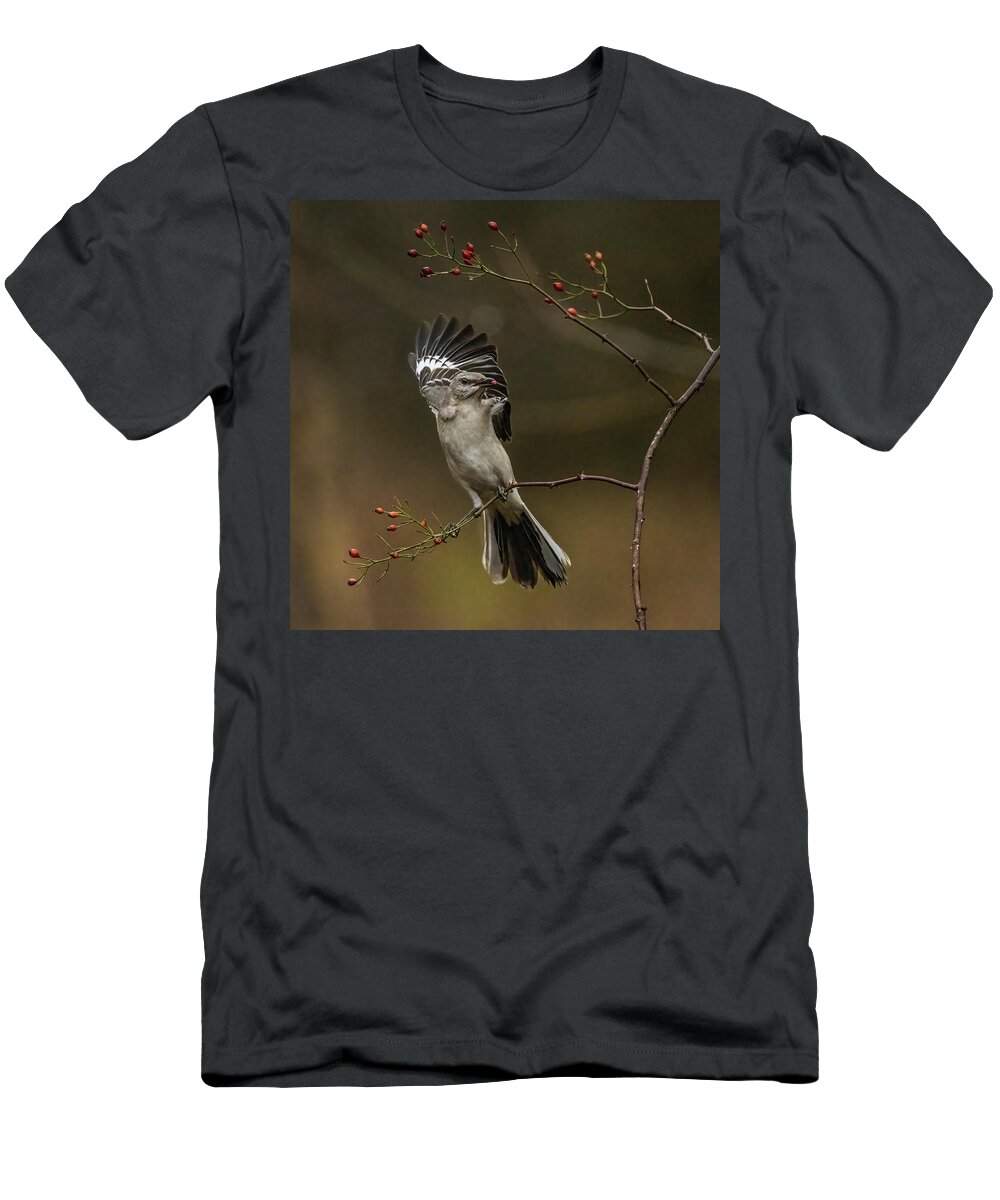 Northern Mockingbird T-Shirt featuring the photograph Northern Mockingbird #1 by Alexander Image