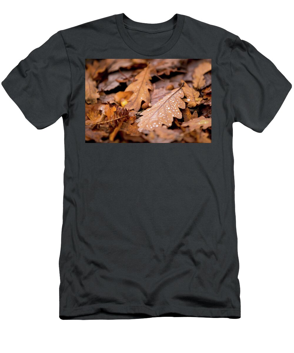 Fall T-Shirt featuring the photograph Oak Leaves and rain drops by Anita Nicholson
