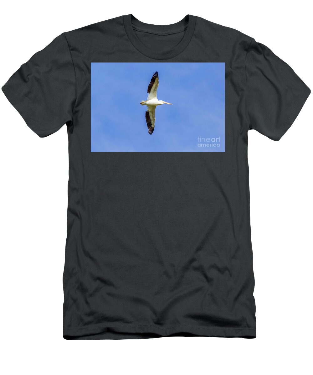 Pelicans T-Shirt featuring the photograph Pelican in Flight #1 by Shirley Dutchkowski