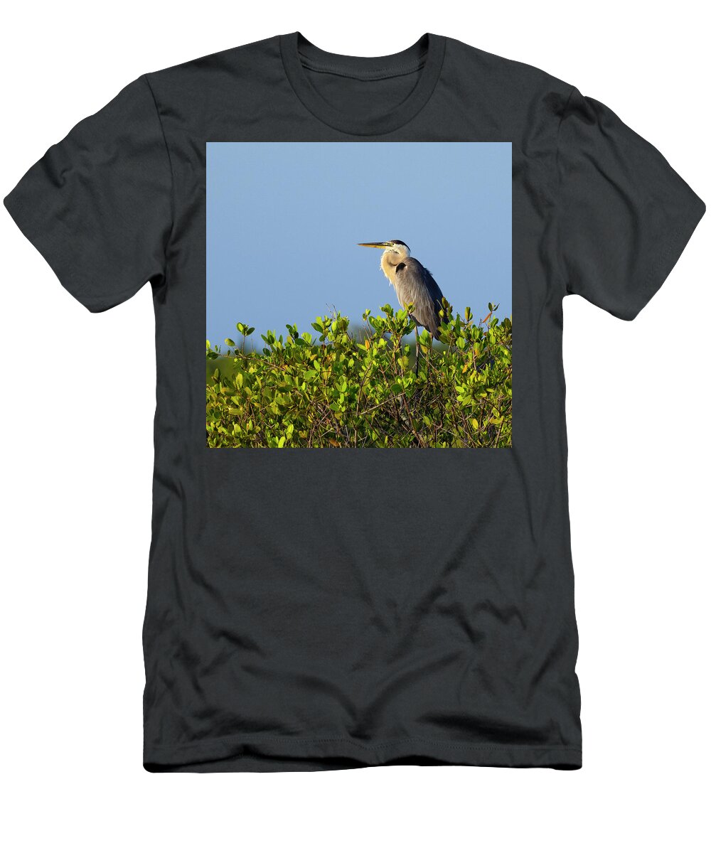 R5-2618 T-Shirt featuring the photograph Perched by Gordon Elwell