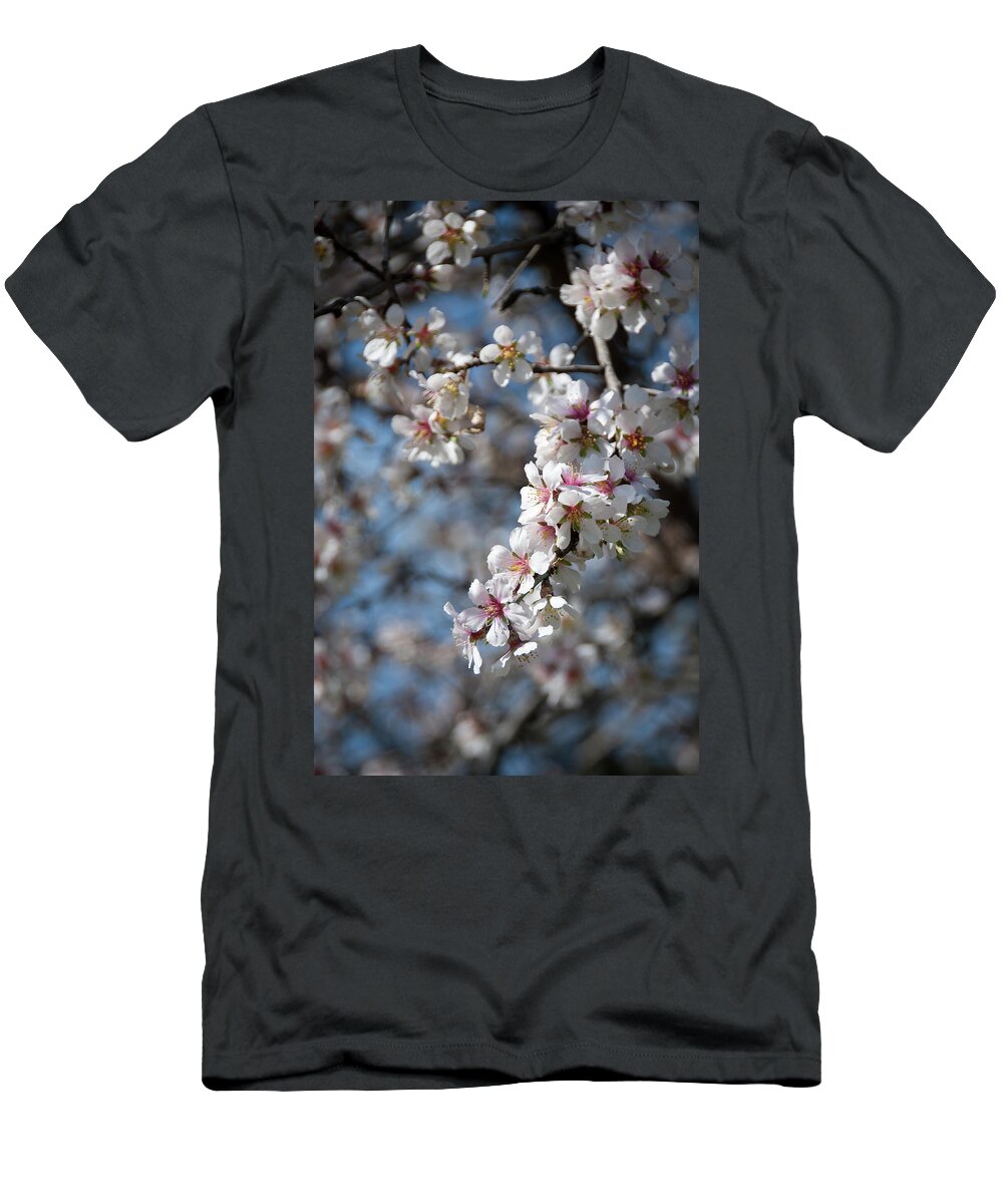 Flowers T-Shirt featuring the photograph Plum white blooming blossom flowers in early spring. Springtime beauty #1 by Michalakis Ppalis
