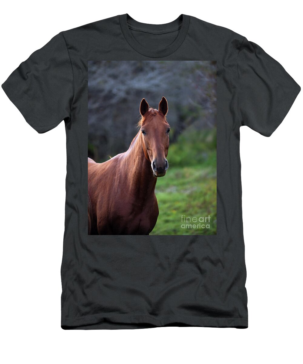Rosemary Farm T-Shirt featuring the photograph Princess Yanaha #1 by Carien Schippers