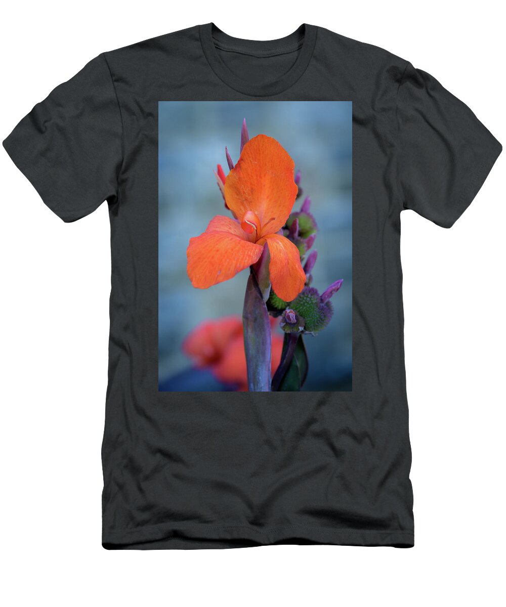 Plants T-Shirt featuring the photograph Red Canna Lily #2 by Frank Mari