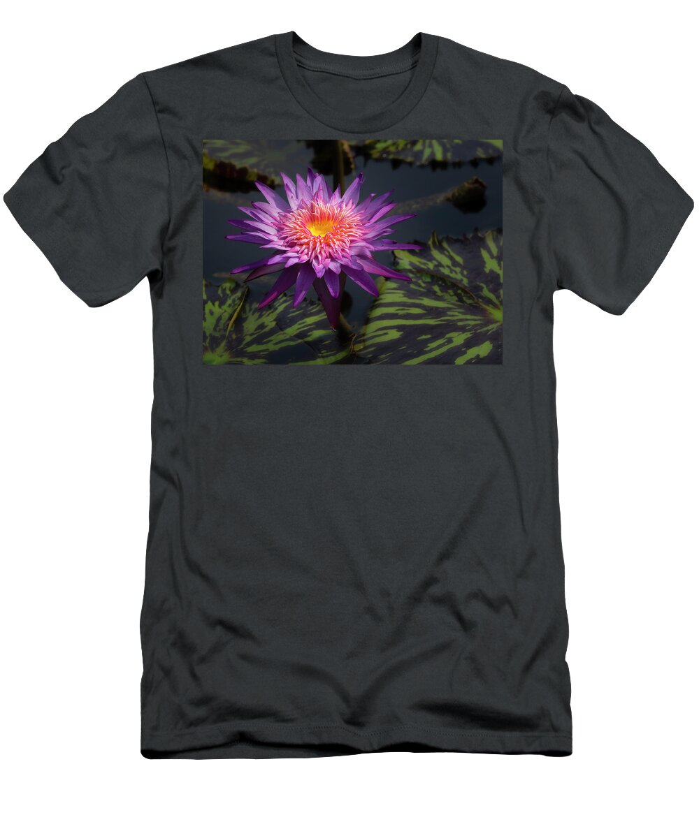 Summer T-Shirt featuring the photograph Showing off. #1 by Usha Peddamatham