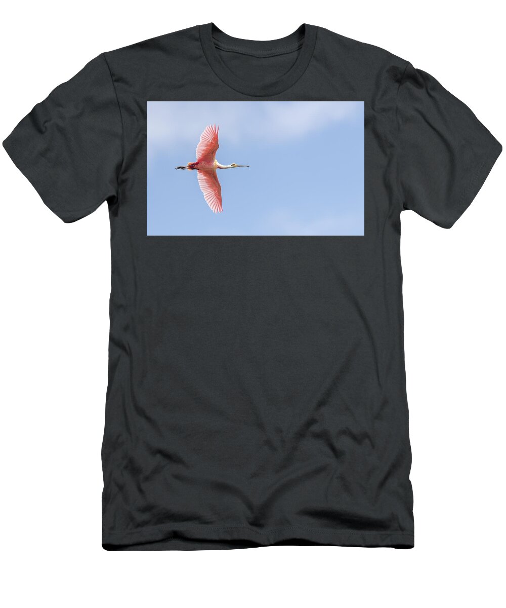 Roseate Spoonbill T-Shirt featuring the photograph Sky is the Limit by Puttaswamy Ravishankar