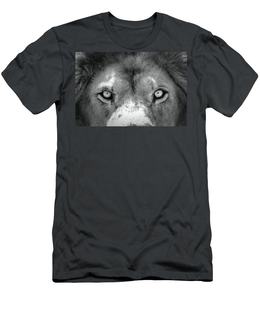 Lion T-Shirt featuring the photograph Stare Down #1 by Lens Art Photography By Larry Trager