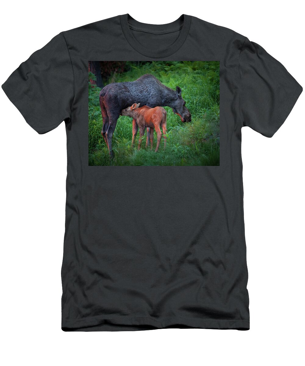 Moose T-Shirt featuring the photograph Table for Two #1 by Tim Newton