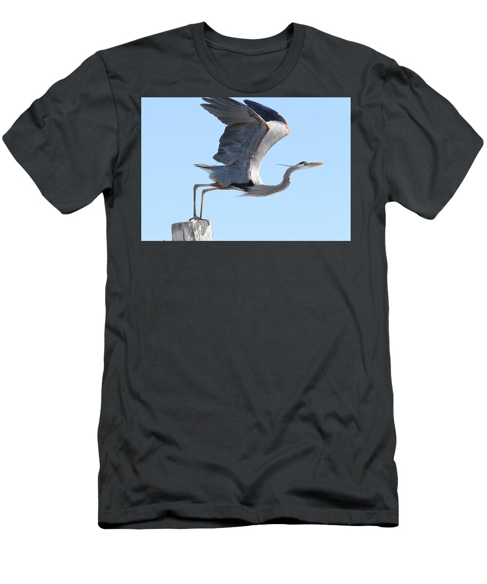 Great Blue Heron T-Shirt featuring the photograph Taking Off by Mingming Jiang