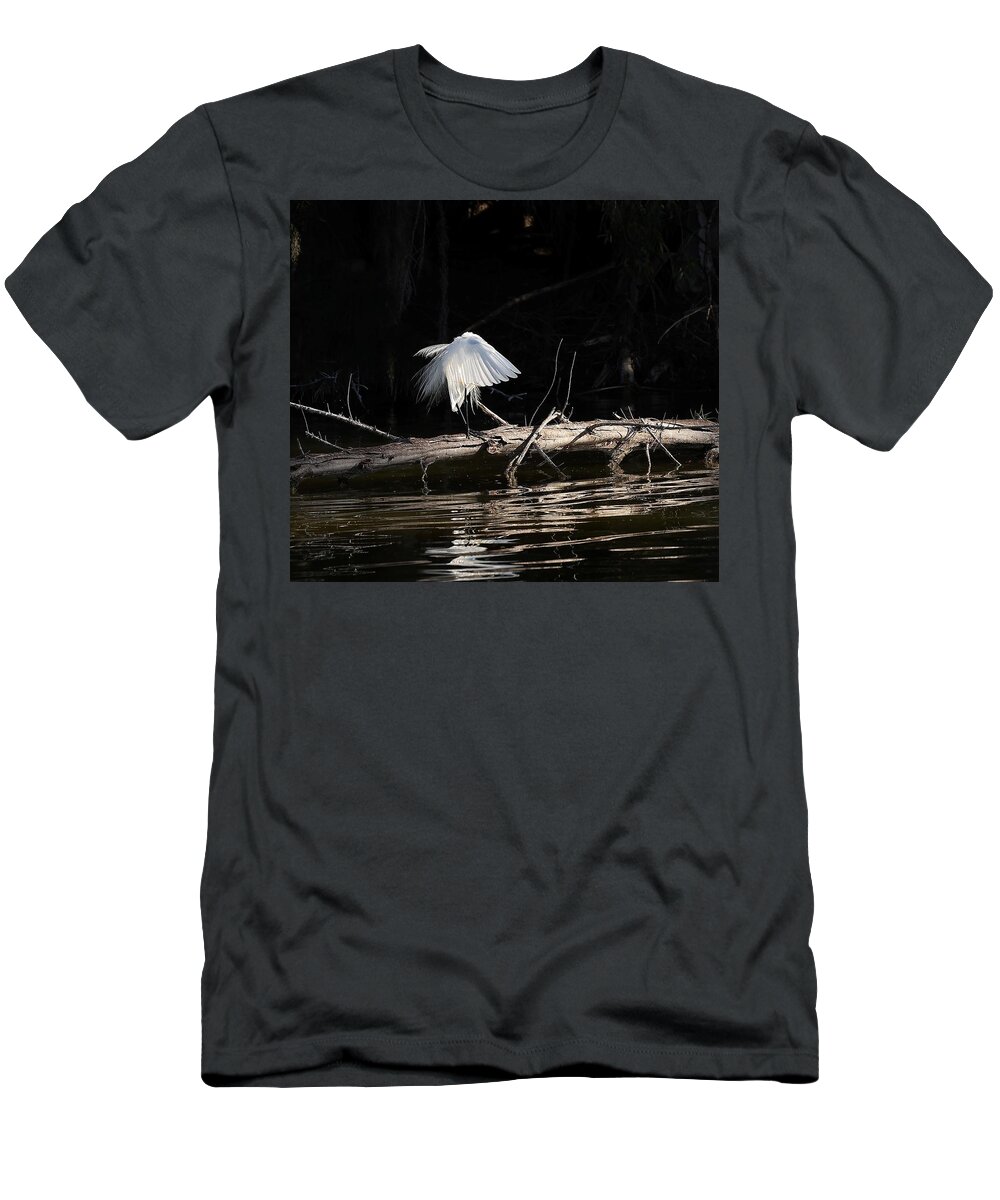 Great Egret T-Shirt featuring the photograph Tranquil Scenery 1 #1 by Mingming Jiang