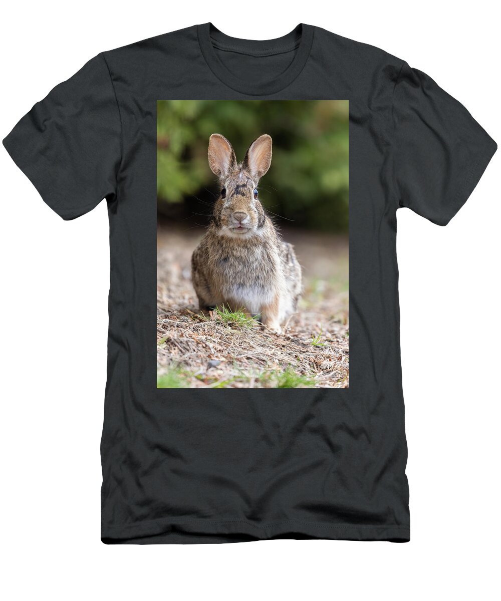Small T-Shirt featuring the photograph What's Up, Doc? #1 by Mircea Costina Photography