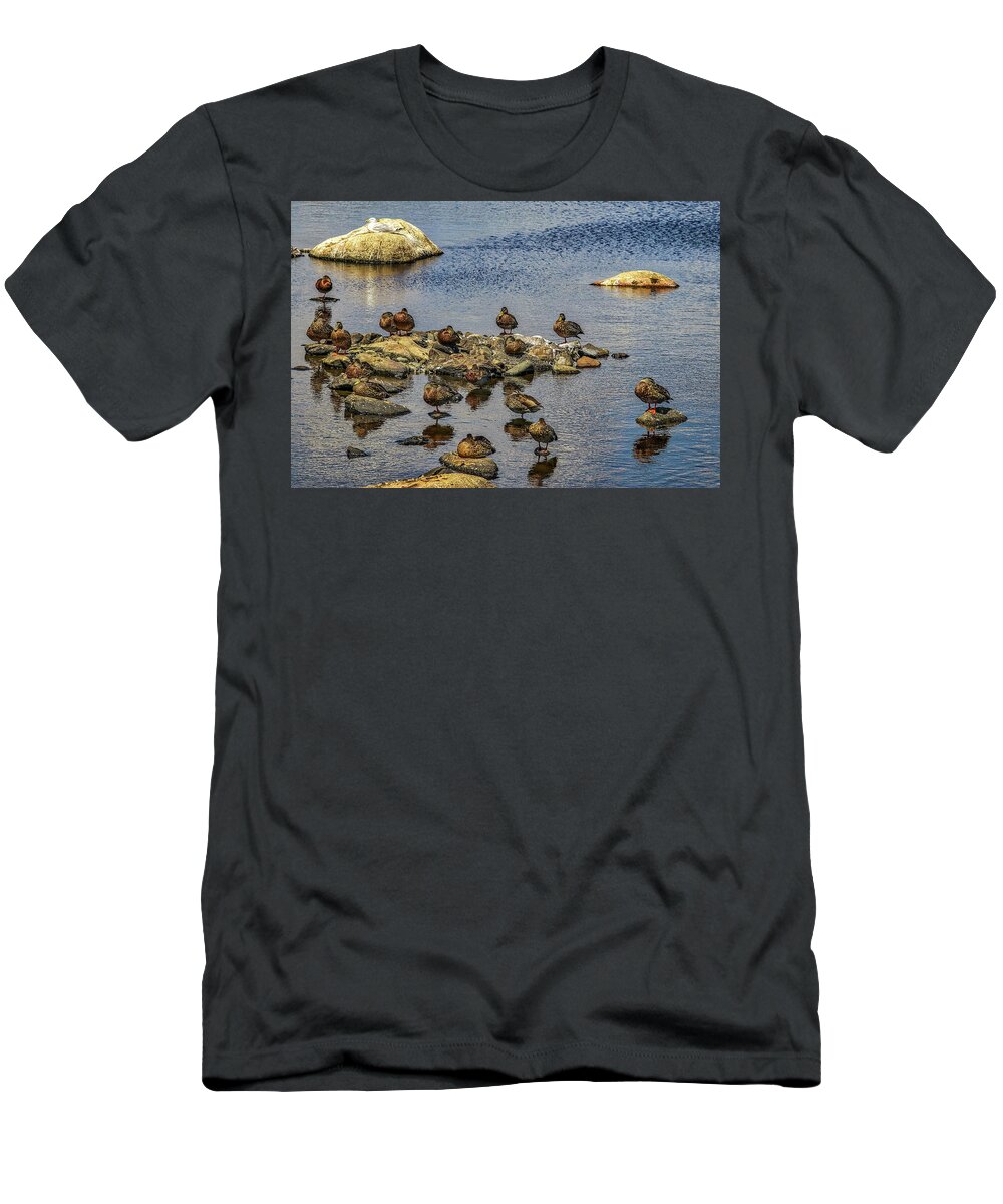 Eastern Passage Nova Scotia Canada T-Shirt featuring the photograph Eastern Passage Nova Scotia Canada #10 by Paul James Bannerman