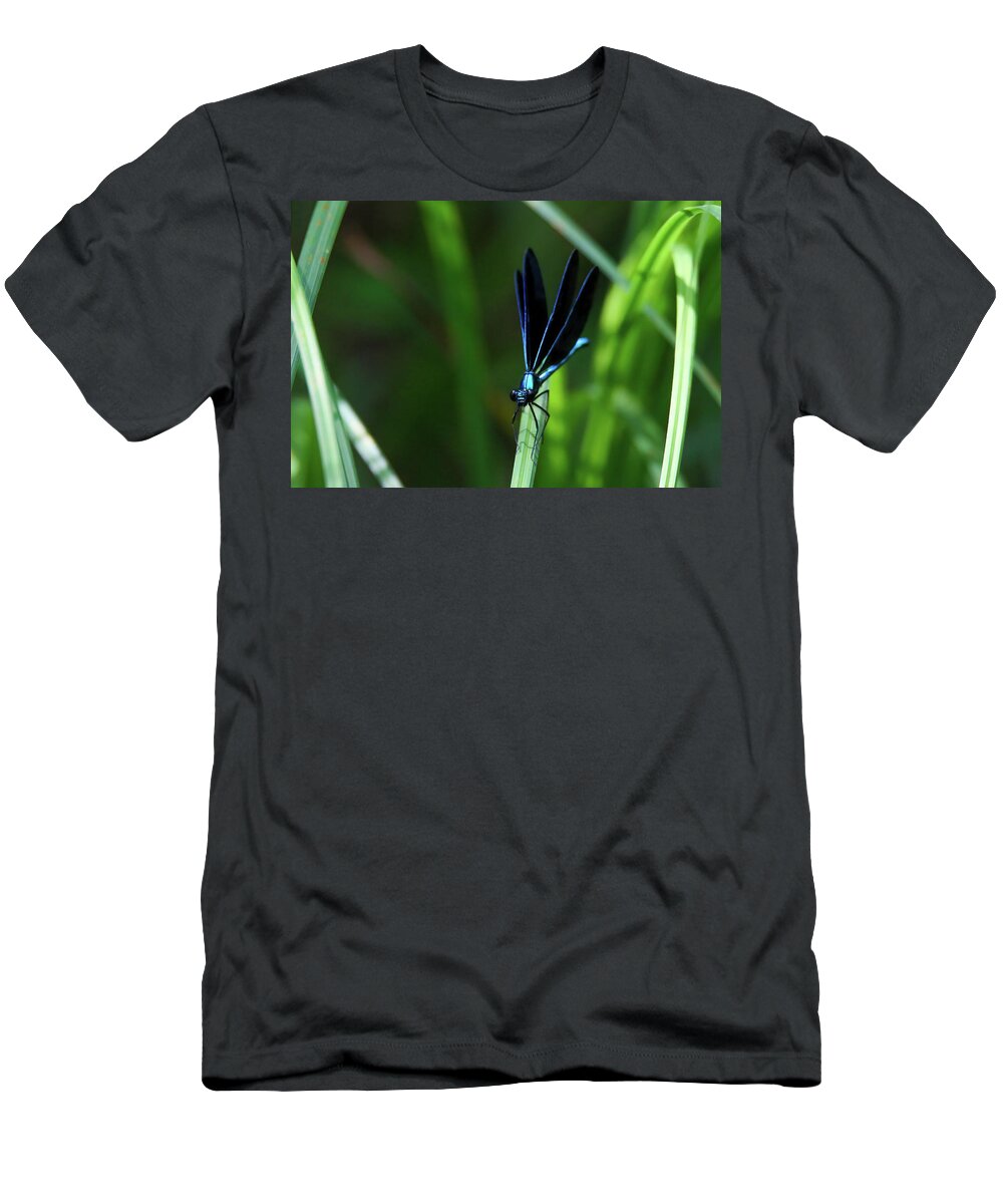 Dragonfly T-Shirt featuring the photograph Ebony Jewelwing Damselfly #11 by Brook Burling