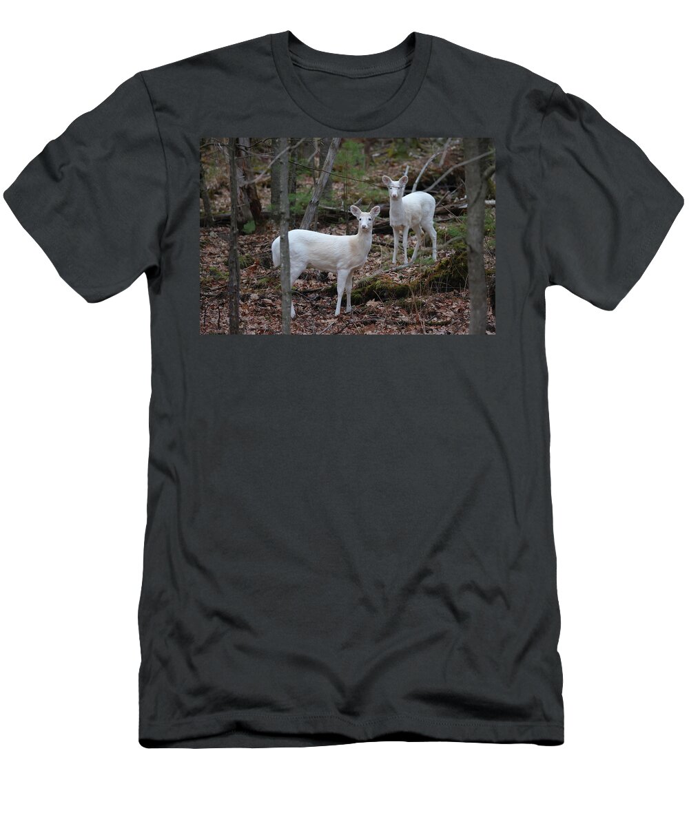 Whitetail Deer T-Shirt featuring the photograph White Deer #12 by Brook Burling