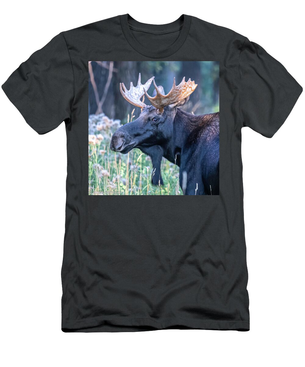 Moose T-Shirt featuring the photograph Bull moose, Wilson, WY #13 by Moris Senegor