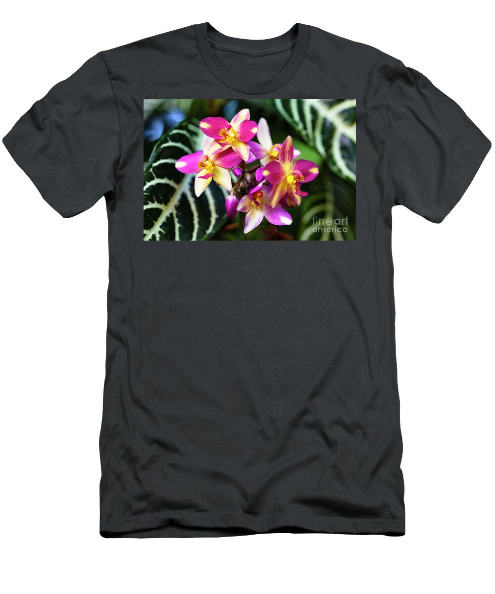 Background T-Shirt featuring the photograph Purple Orchid Flowers #13 by Raul Rodriguez