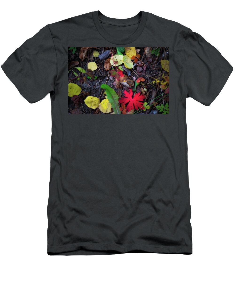 Co T-Shirt featuring the photograph Fall colors, Colorado #1 by Doug Wittrock