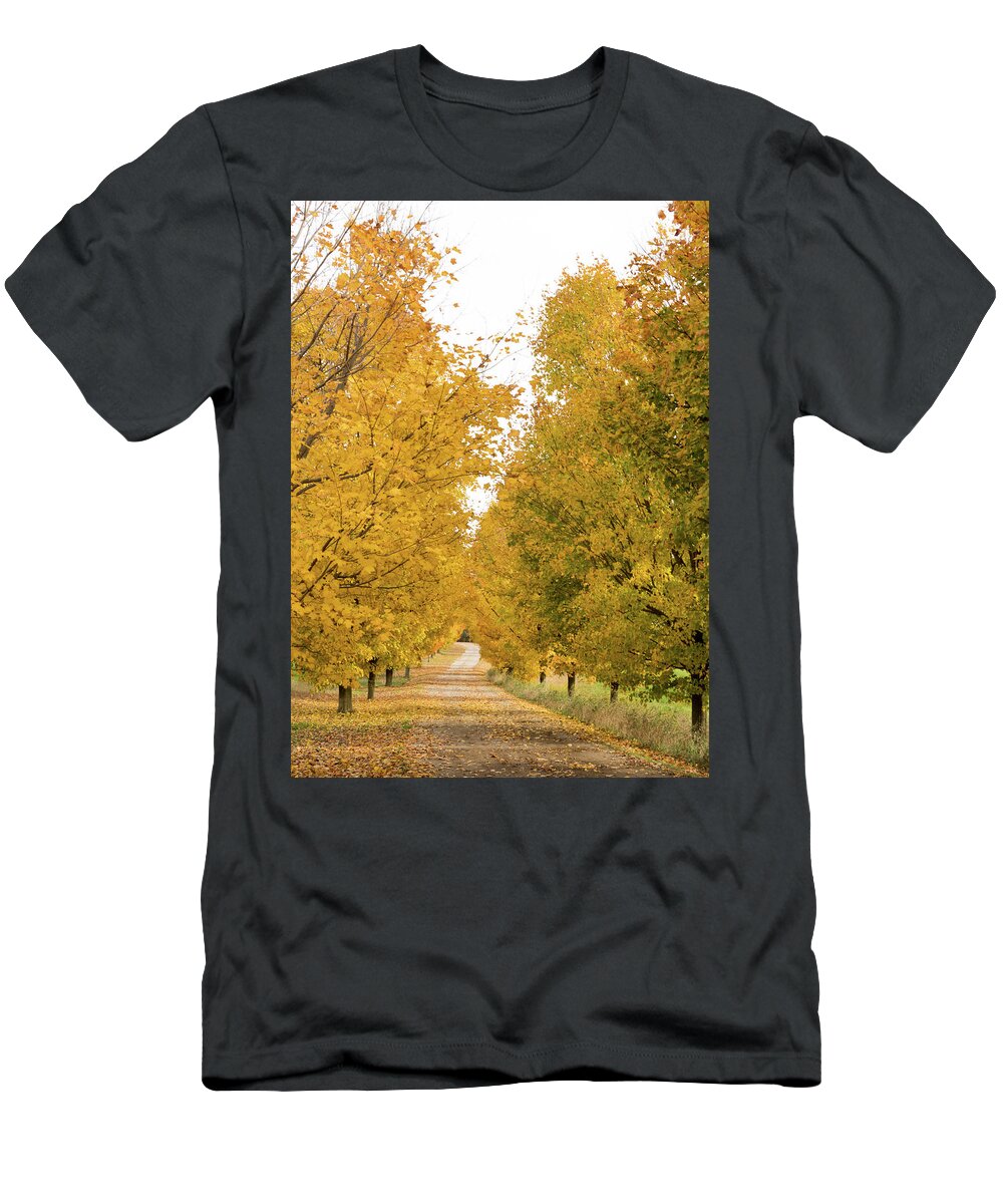 # Autumn Leaf Color T-Shirt featuring the photograph Autumn Foliage #2 by Nick Mares