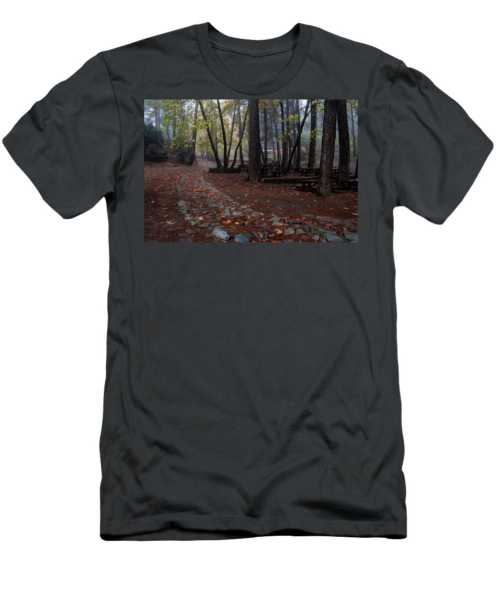 Autumn T-Shirt featuring the photograph Autumn landscape with trees and Autumn leaves on the ground after rain #7 by Michalakis Ppalis