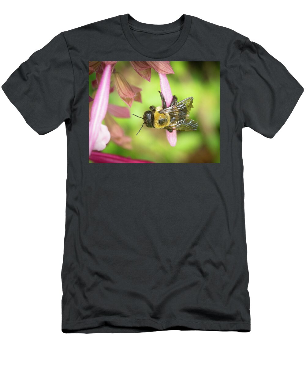 Bee Flower Macro T-Shirt featuring the photograph Bee on a Flower #3 by David Morehead