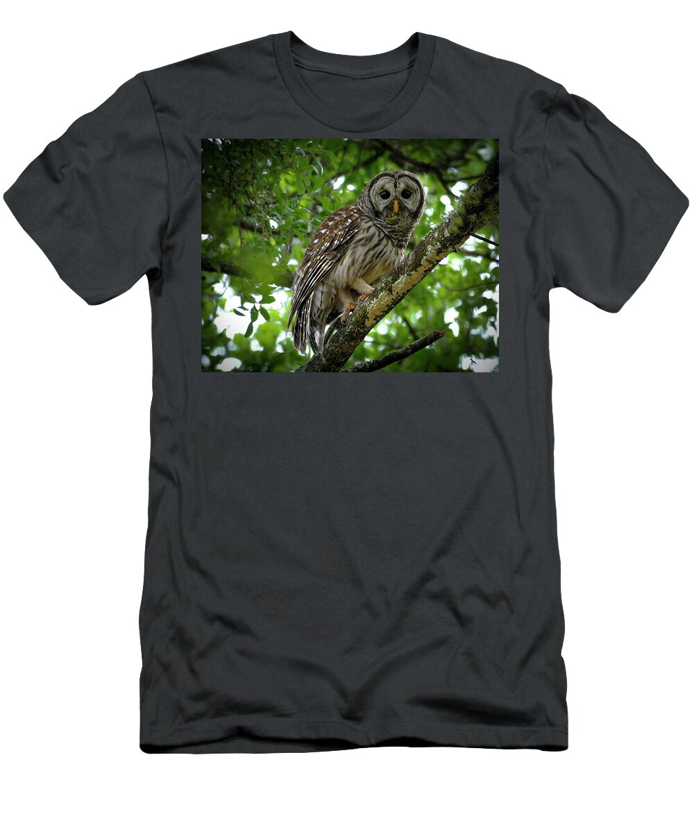  T-Shirt featuring the photograph Dinner Time #2 by Keith Lovejoy