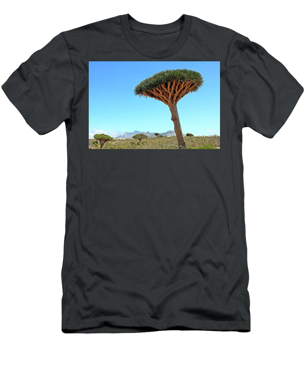  T-Shirt featuring the photograph Yemen 249 by Eric Pengelly