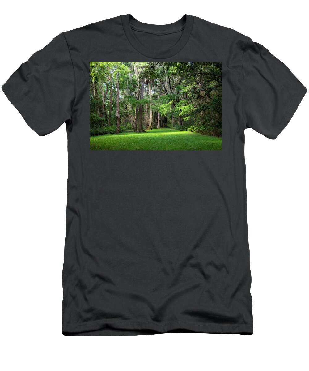 Woods T-Shirt featuring the photograph Lake Istokpoga Park #2 by Dart Humeston