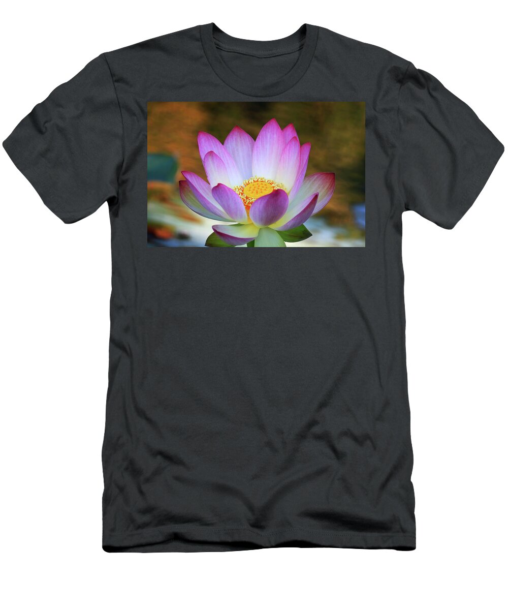 Lotus T-Shirt featuring the photograph Lotus Flower #2 by Shixing Wen