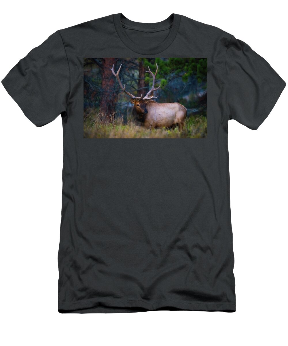 Elk T-Shirt featuring the photograph Rocky Mountain Elk #2 by Darren White