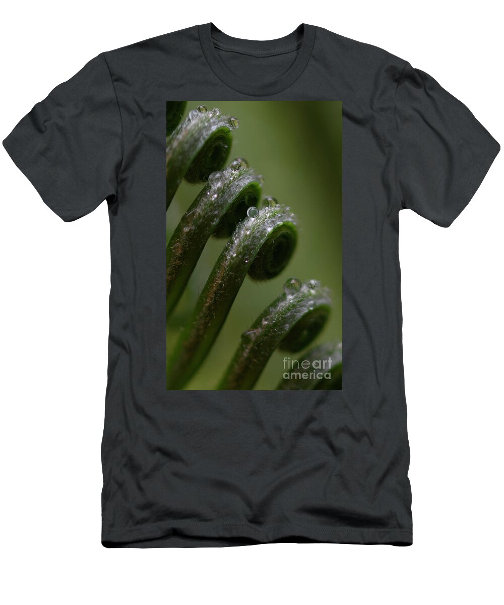 Sago T-Shirt featuring the photograph Sago Palm #2 by Patrick Nowotny