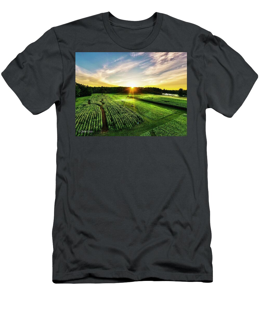  T-Shirt featuring the photograph Sunflowers #2 by John Gisis