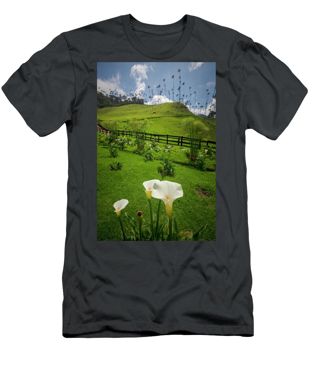 Valle Del Cocora T-Shirt featuring the photograph Valle Del Cocora Salento Quindio Colombia #2 by Tristan Quevilly