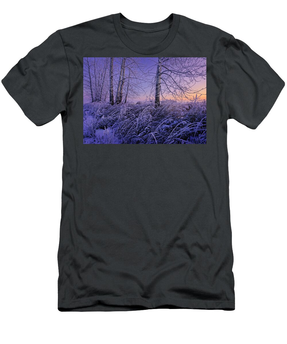 Winter T-Shirt featuring the photograph Winter Frost #2 by Dan Jurak