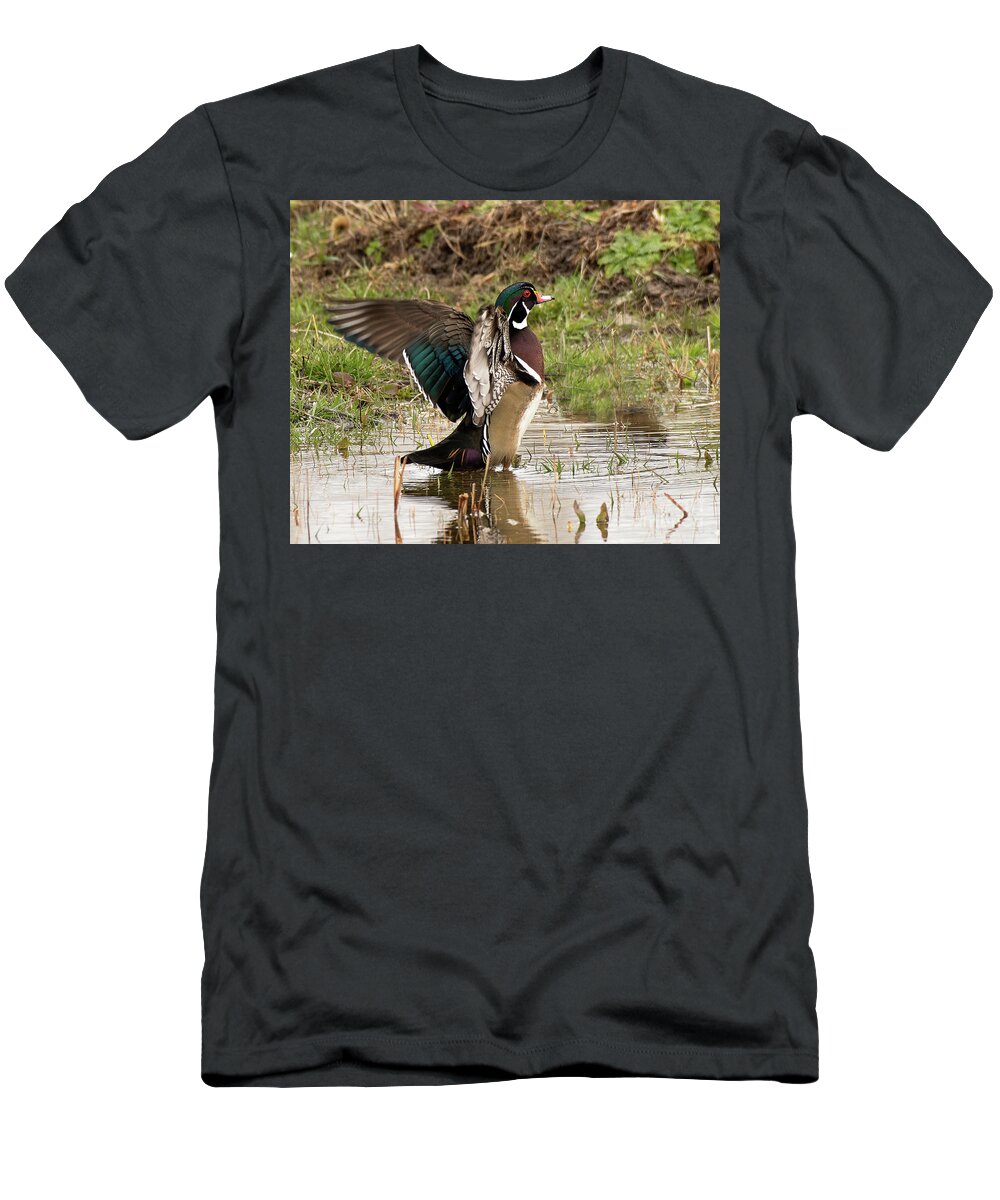 Duck T-Shirt featuring the photograph Wood Duck #2 by Dennis Hammer