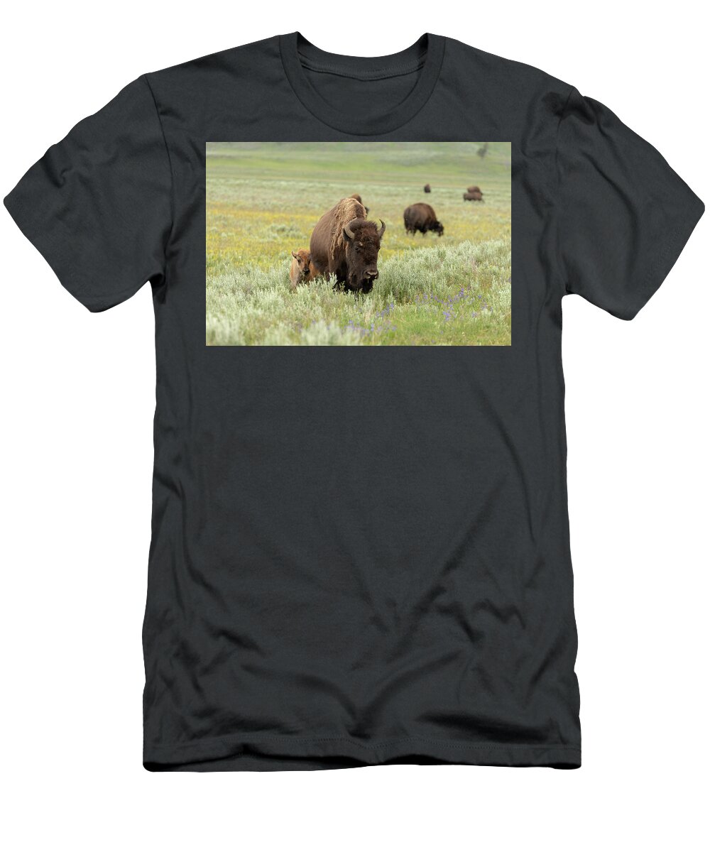 Buffalo T-Shirt featuring the photograph 2018 Buffalo- 3 by Tara Krauss
