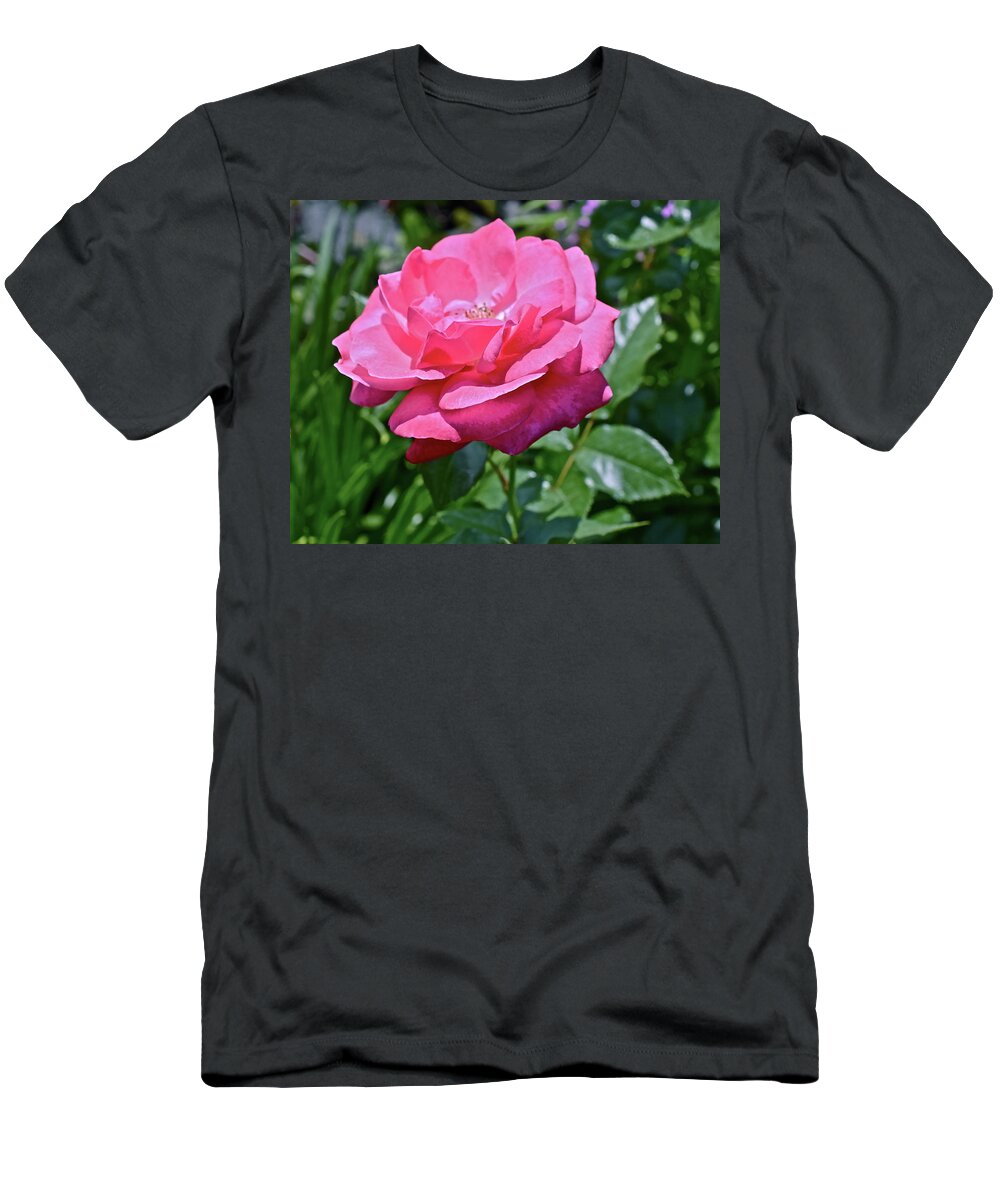 Rose T-Shirt featuring the photograph 2020 Mid June Garden Rose by Janis Senungetuk