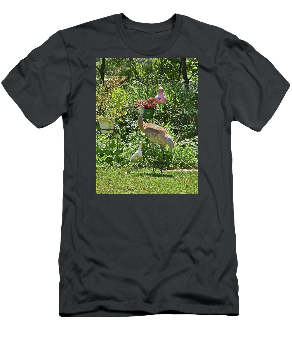 Sandhill Cranes T-Shirt featuring the photograph 2021 August Sandhill Crane by Janis Senungetuk