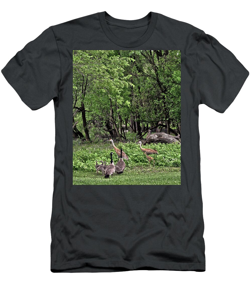 Sandhill Cranes T-Shirt featuring the photograph 2022 Busy Afternoon at the Basin by Janis Senungetuk